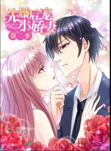 动漫《先婚后宠小娇妻第二季》剧情介绍