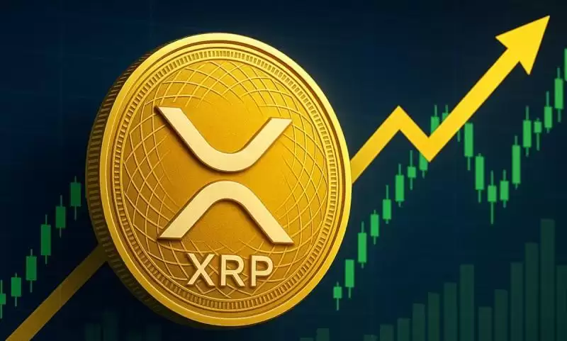 第3名：XRP（Ripple）——跨境支付的法律清晰化