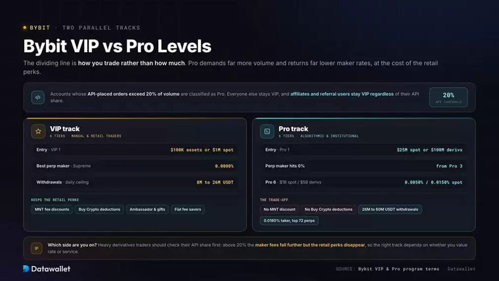 Bybit VIP 与 Pro 等级对比