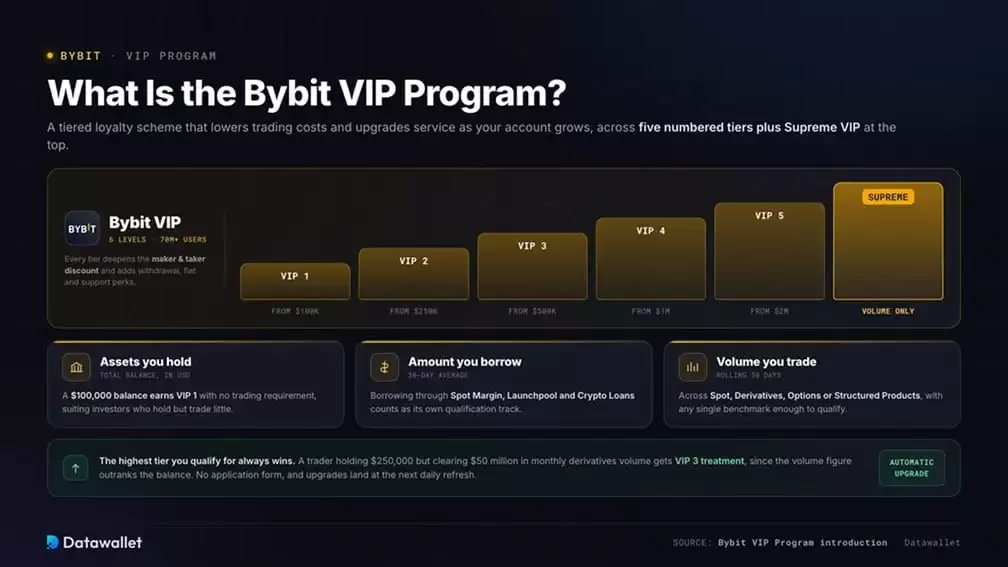 什么是Bybit VIP计划？