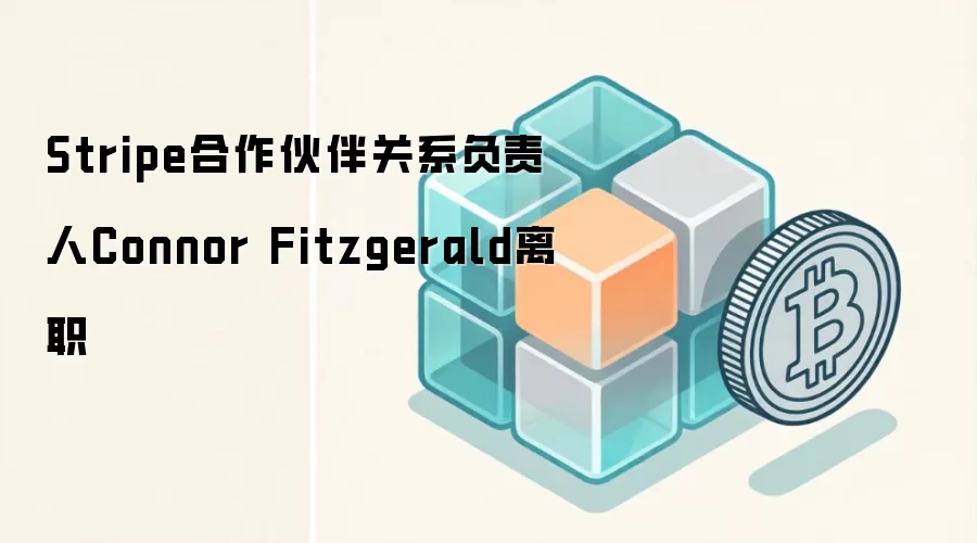 Stripe合作伙伴关系负责人Connor Fitzgerald离职