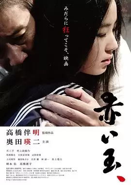 电影《血珠》剧情介绍