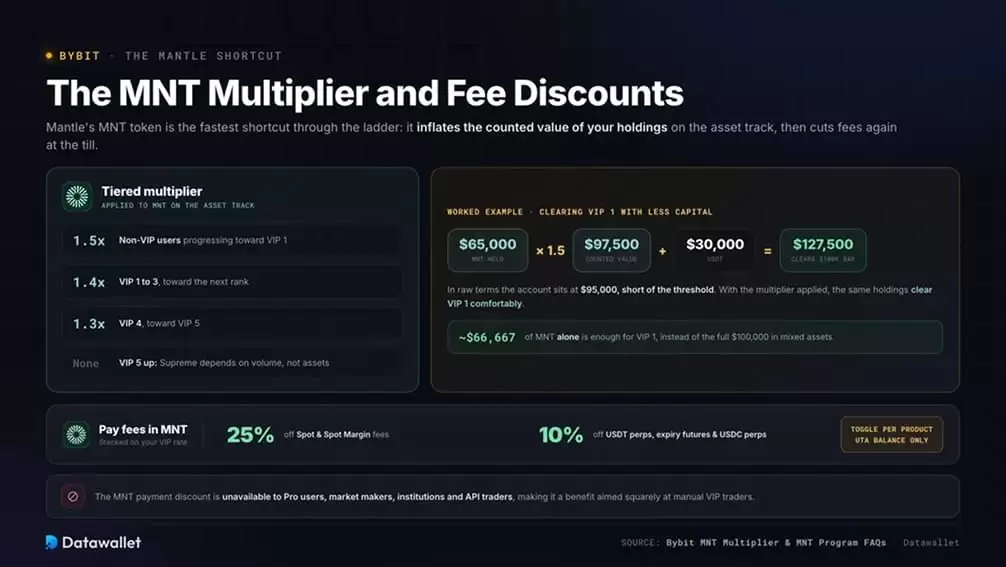 MNT 乘数与费用折扣
