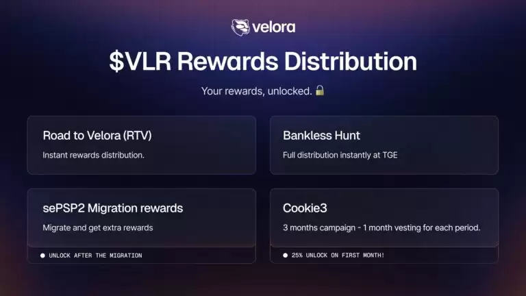 Velora(VLR)币全面介绍
