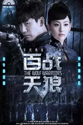 电视剧《百战天狼》剧情介绍
