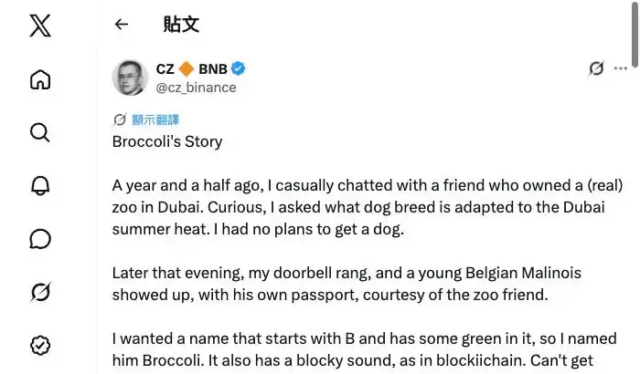 CZ 与 BNB Chain 迷因币