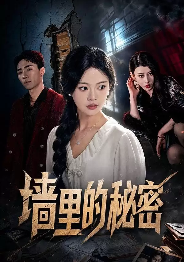 短剧《墙里的秘密》剧情介绍