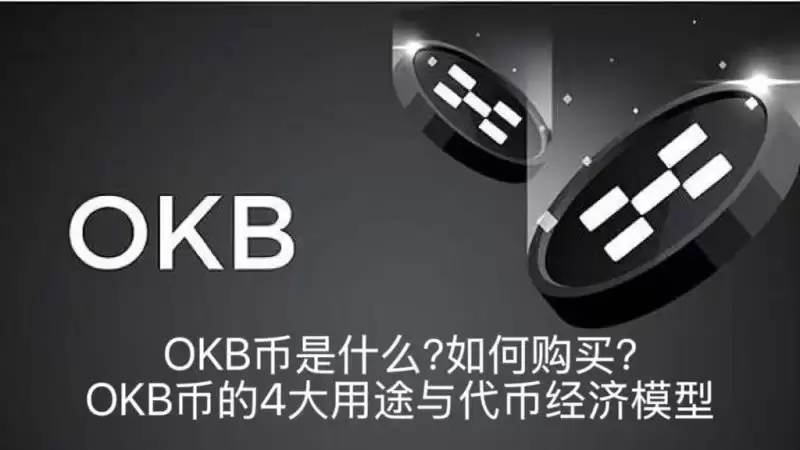 OKB币是什么?如何购买?全面解析OKB币的4大用途与代币经济模型