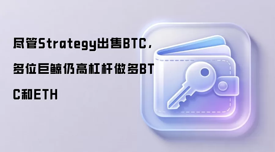 尽管Strategy出售BTC，多位巨鲸仍高杠杆做多BTC和ETH