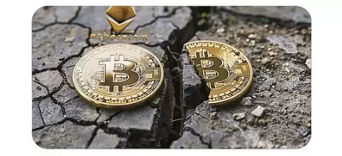 一文了解加密生态的泡沫之殇:如何理性应对？