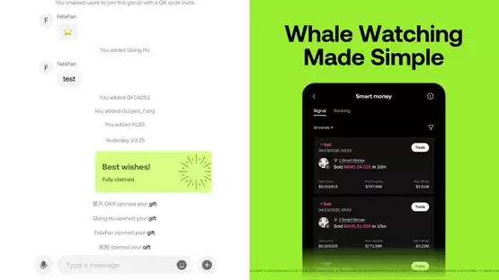 徐明星：将推出OKX Pay Wallet及金融卡！多链支持成亮点