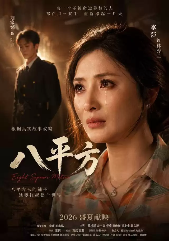短剧《八平方》剧情介绍