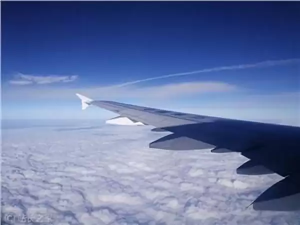 飞机 东方航空