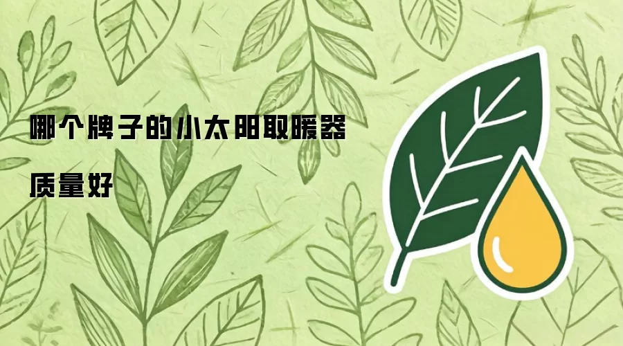 哪个牌子的小太阳取暖器质量好