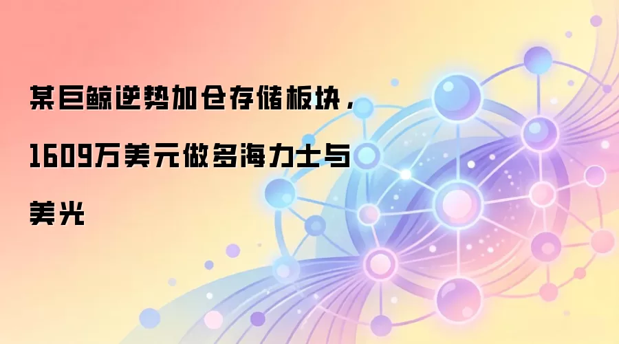 某巨鲸逆势加仓存储板块，1609万美元做多海力士与美光
