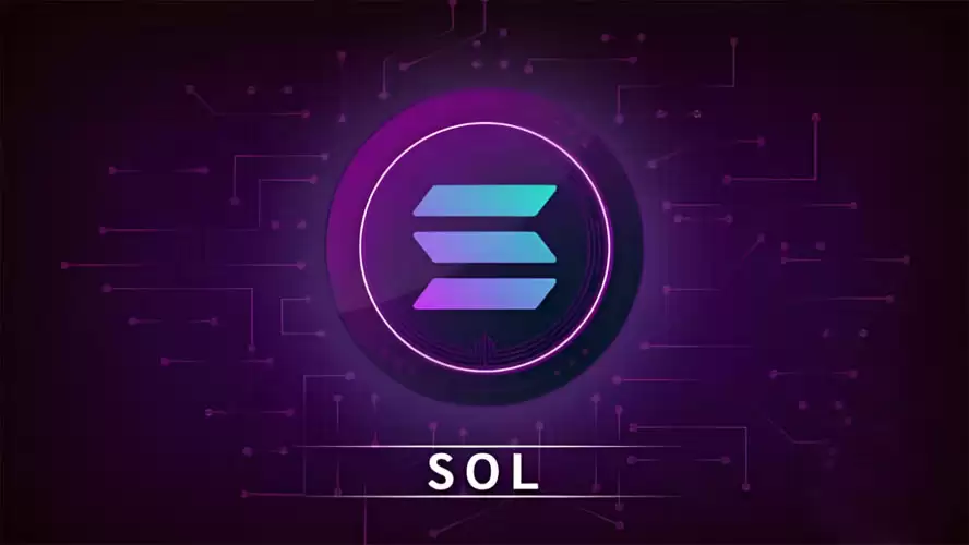 SOL有可能成为华尔街的新宠吗？