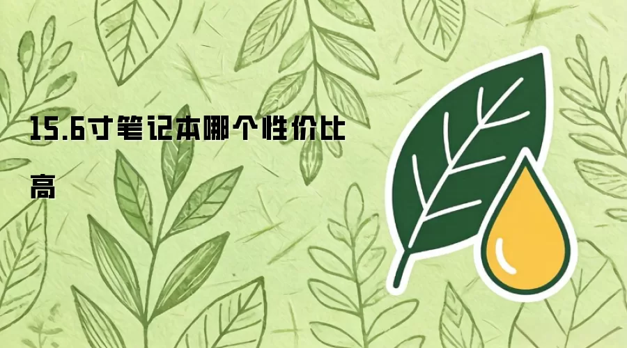 15.6寸笔记本哪个性价比高
