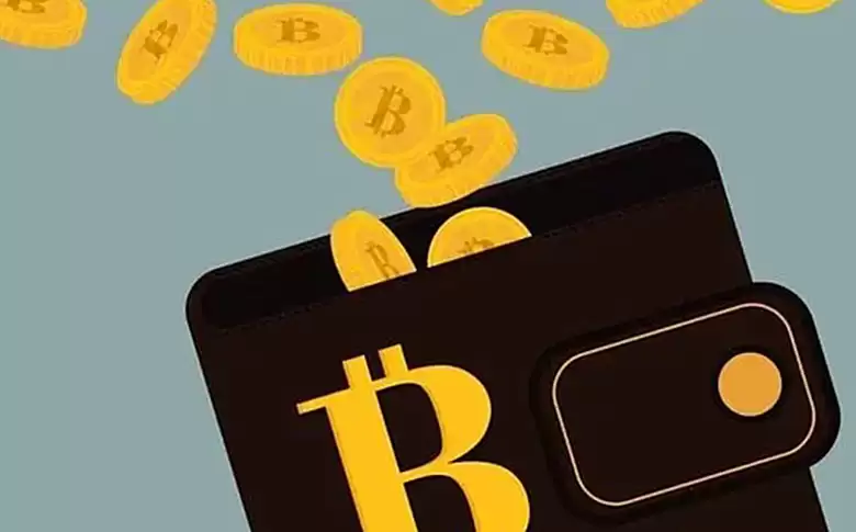 从撸毛到身份:Web3 五年 积分和 Alpha 是怎么抢人的？