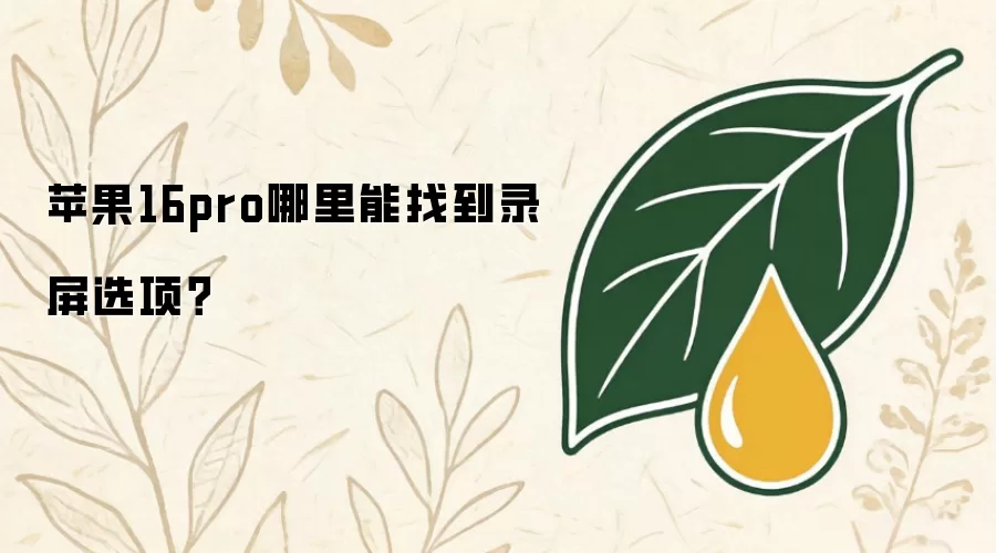 苹果16pro哪里能找到录屏选项?