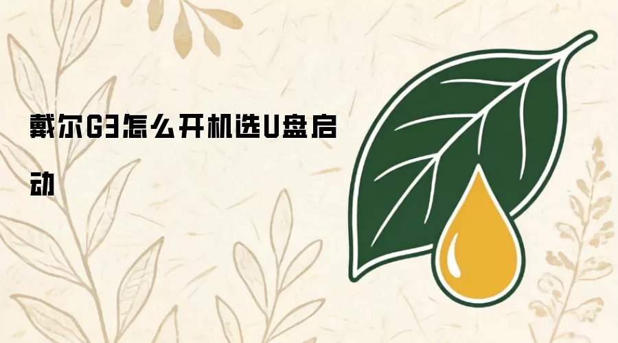 戴尔G3怎么开机选U盘启动