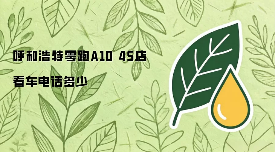 呼和浩特零跑A10 4S店看车电话多少
