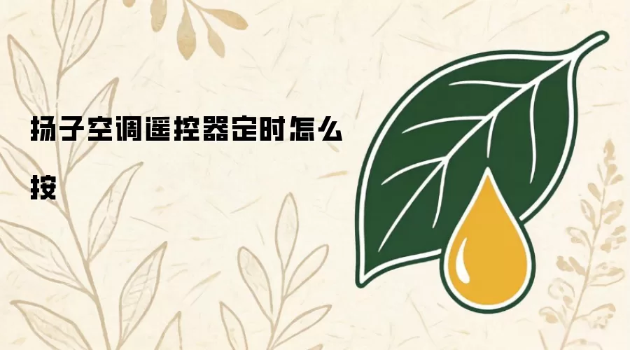 扬子空调遥控器定时怎么按