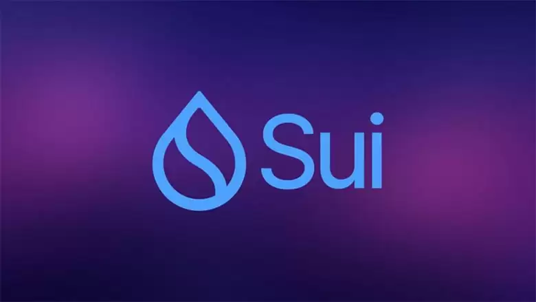 破局黑天鹅,SUI 为何仍具长期增长强劲潜力？一文分析
