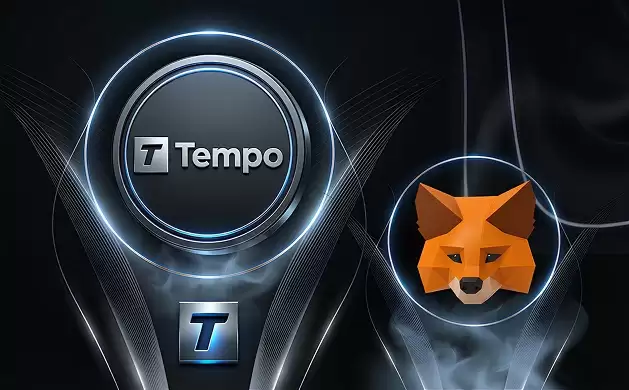 我可以在MetaMask 中添加 Tempo 吗?
