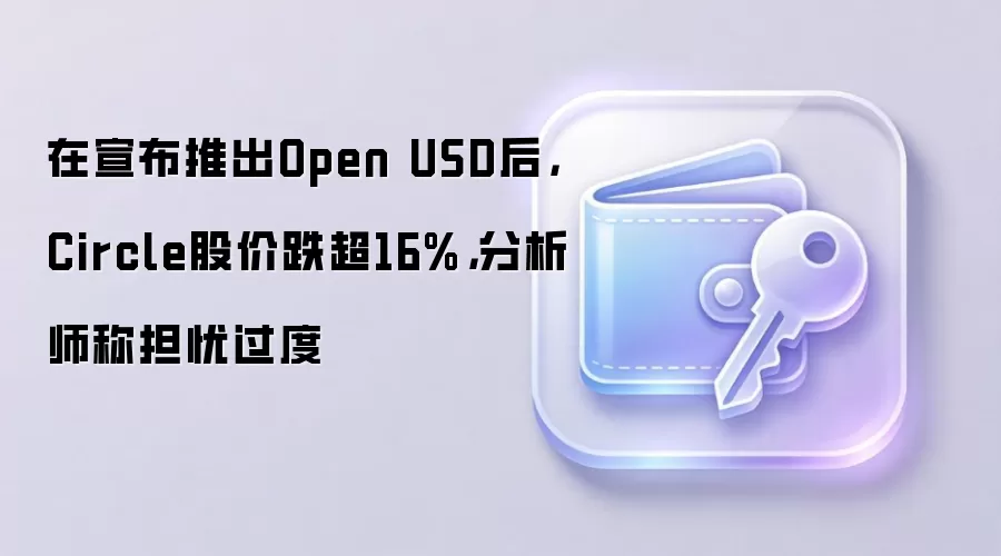 在宣布推出Open USD后,Circle股价跌超16%,分析师称担忧过度