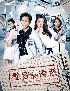 电视剧《整容的诱惑》剧情介绍