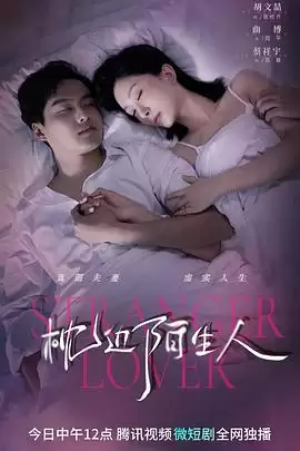 电视剧《枕边陌生人》剧情介绍