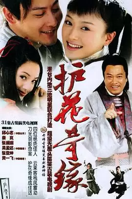 电视剧《护花奇缘》剧情介绍