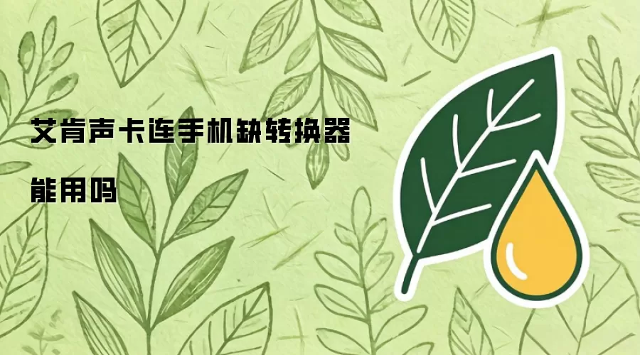 艾肯声卡连手机缺转换器能用吗