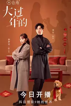 电视剧《大过年的》剧情介绍