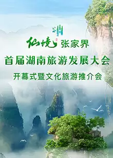 综艺《首届湖南旅游发展大会开幕式暨文化旅游推介会》剧情介绍