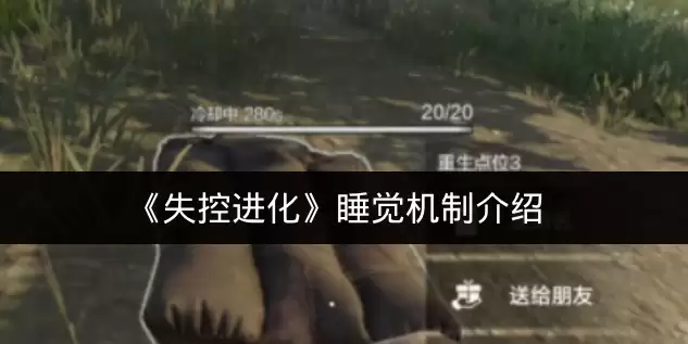 《失控进化》睡觉机制介绍