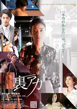 电影《秘密账号》剧情介绍