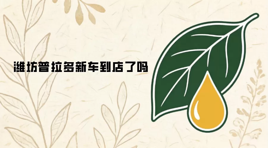 潍坊普拉多新车到店了吗
