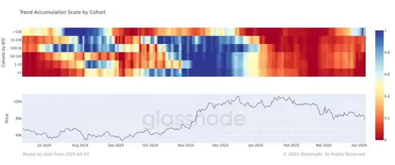 Glassnode数据:巨鲸在不断买入比特币!较小投资群才在卖BTC