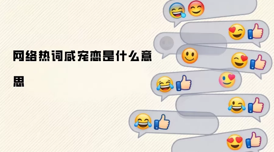 网络热词咸宠恋是什么意思