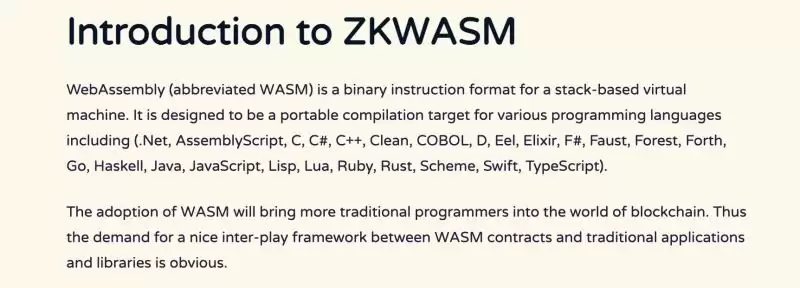 zkWASM是什么？zkWASM未来展望和应用场景介绍
