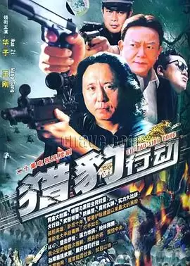 电视剧《金海岸》剧情介绍