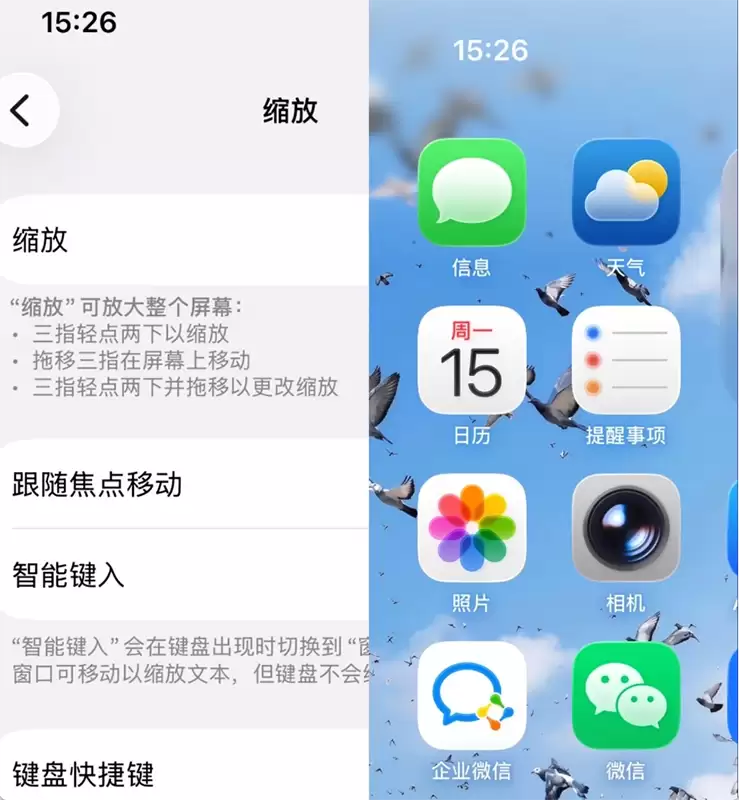用了这么多年iPhone，这10个隐藏功能你可能从来没点开过
