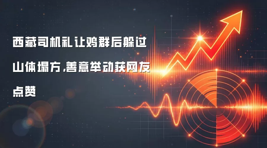 西藏司机礼让鸡群后躲过山体塌方,善意举动获网友点赞