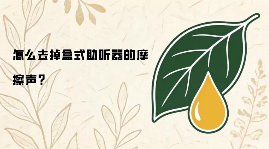 怎么去掉盒式助听器的摩擦声？