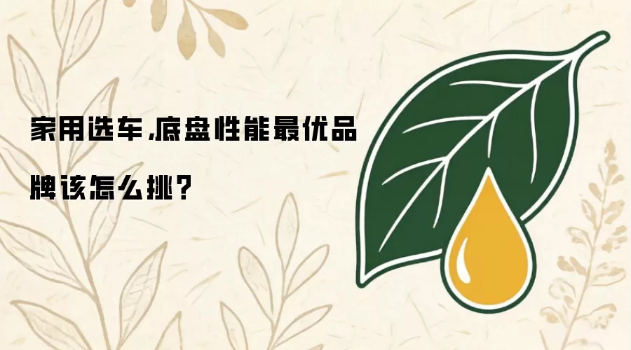 家用选车，底盘性能最优品牌该怎么挑？