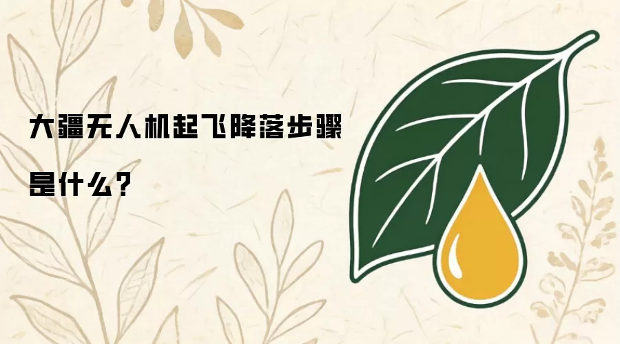 大疆无人机起飞降落步骤是什么？