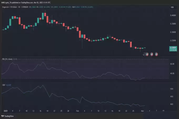 狗狗币（DOGE）迎来鲸鱼大举买入，未来能否逆转跌势？