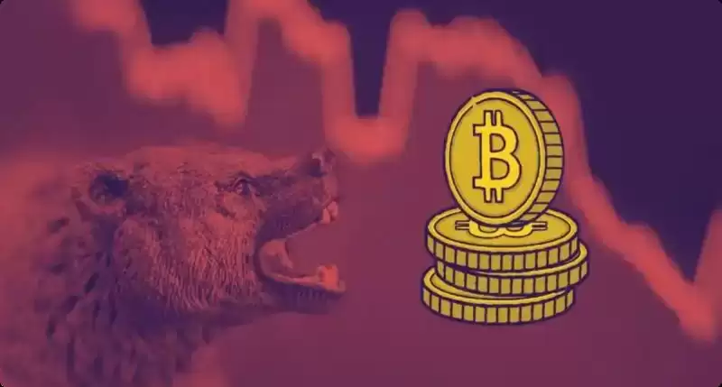 加密货币只是下跌还是要崩盘了?