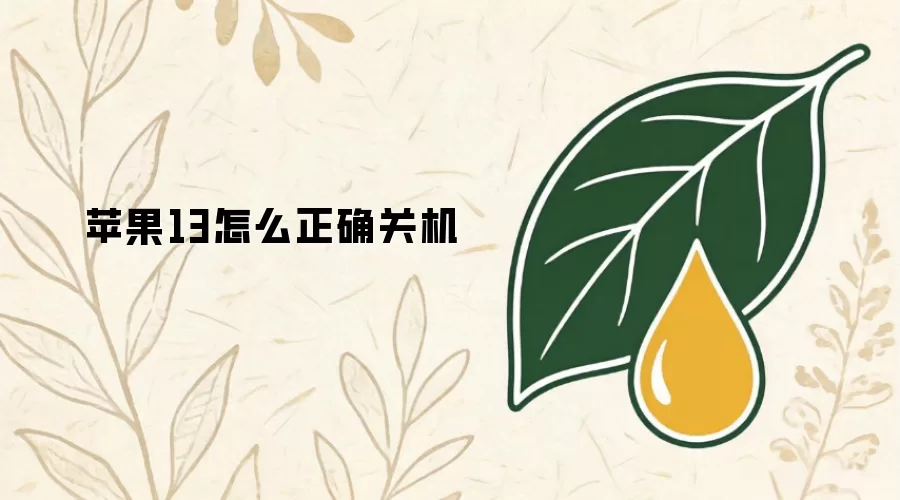 苹果13怎么正确关机